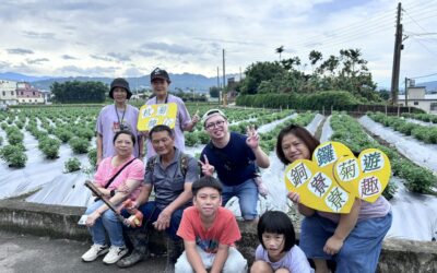 🌱 揭開杭菊的秘密：田間體驗開始！